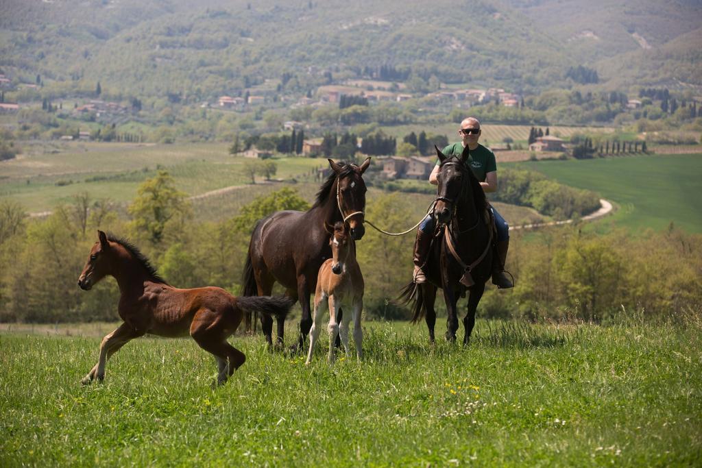 Poggiovalle Tenuta Italiana Città della Pieve Zewnętrze zdjęcie