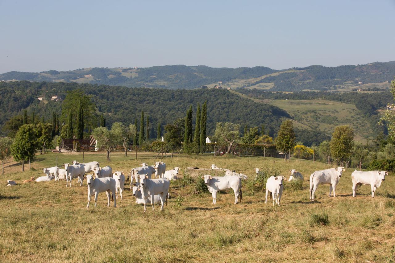 Poggiovalle Tenuta Italiana Città della Pieve Zewnętrze zdjęcie